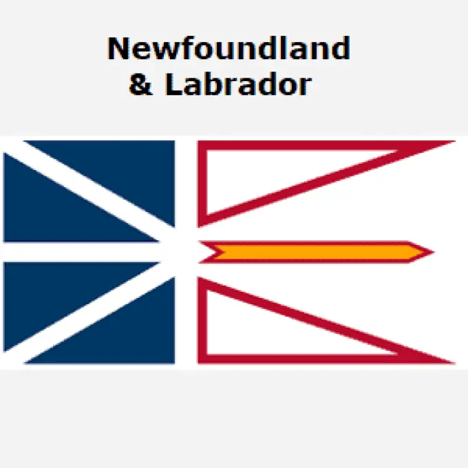 The Saucy Newfoundland Company